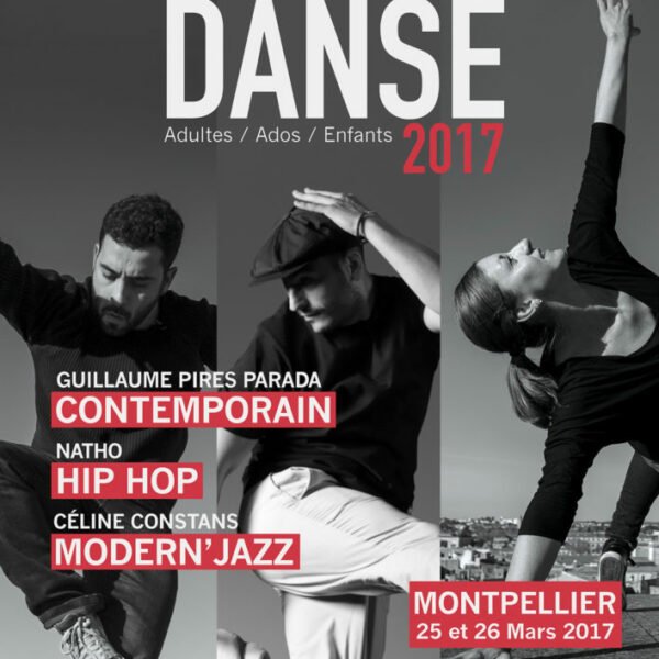 Affiche Stages de danse 2017