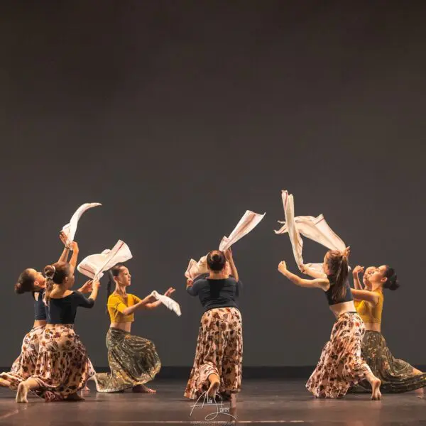 Disciplines 21 Cursus Scène - Primavera