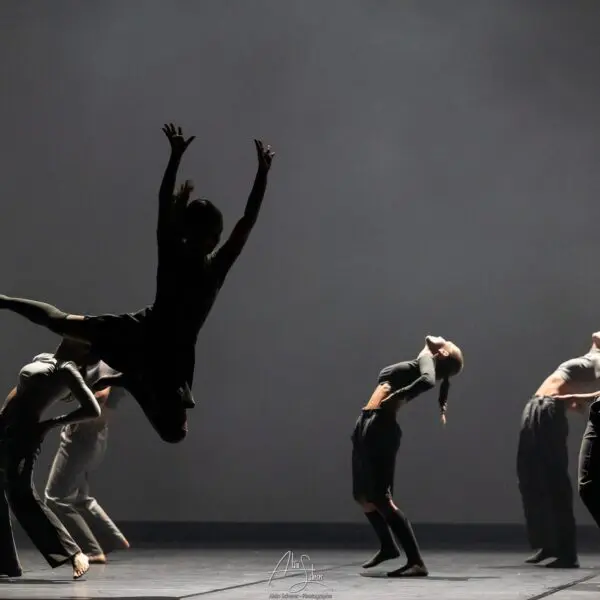 Cursus Scène 21 Cursus scene Akouo