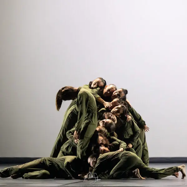 Disciplines 12 danse contemporaine ado montpellier