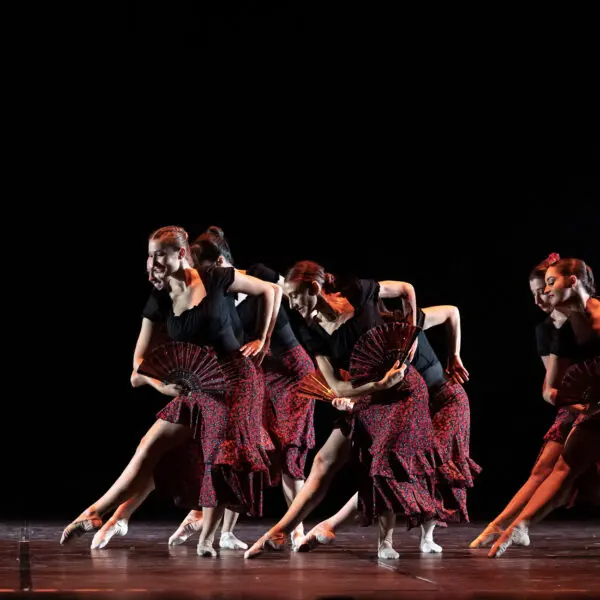 Disciplines 4 Danse classique adulte