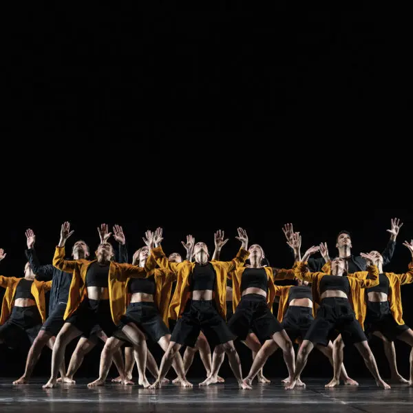 Disciplines 8 danse modern jazz adulte